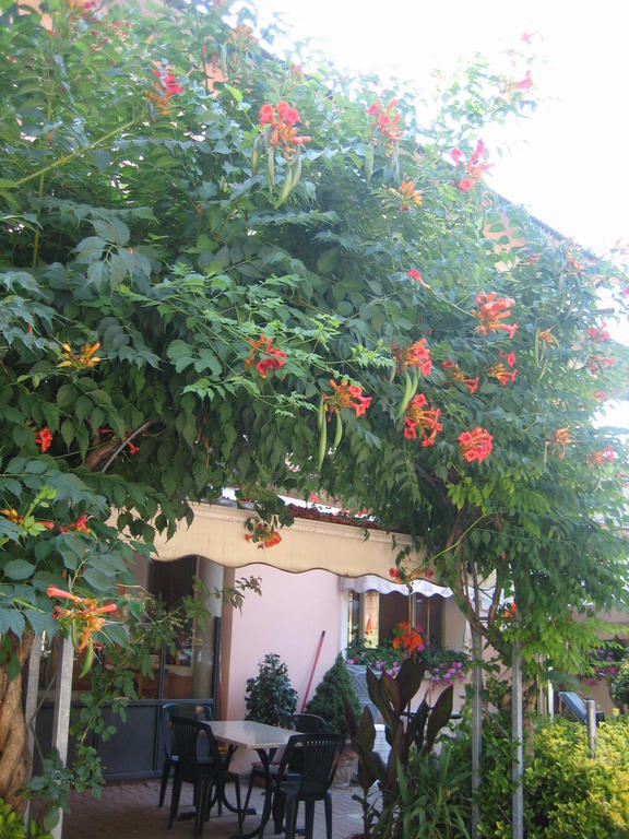 Albergo Ristorante Sterlina Grizzana Habitación foto